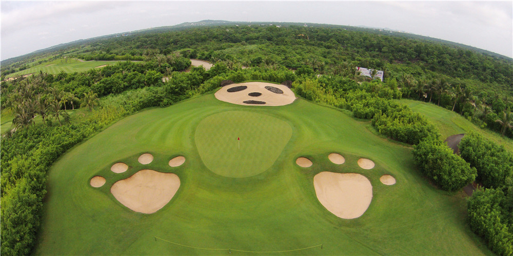 Course 6 (H) - Meadow Links #panda1_副本.jpg